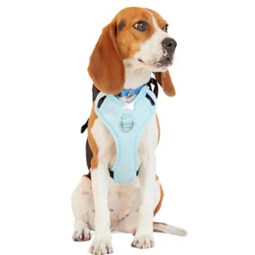 NWT Everyyay Road Trippin’ Car Harness Crash Tested L